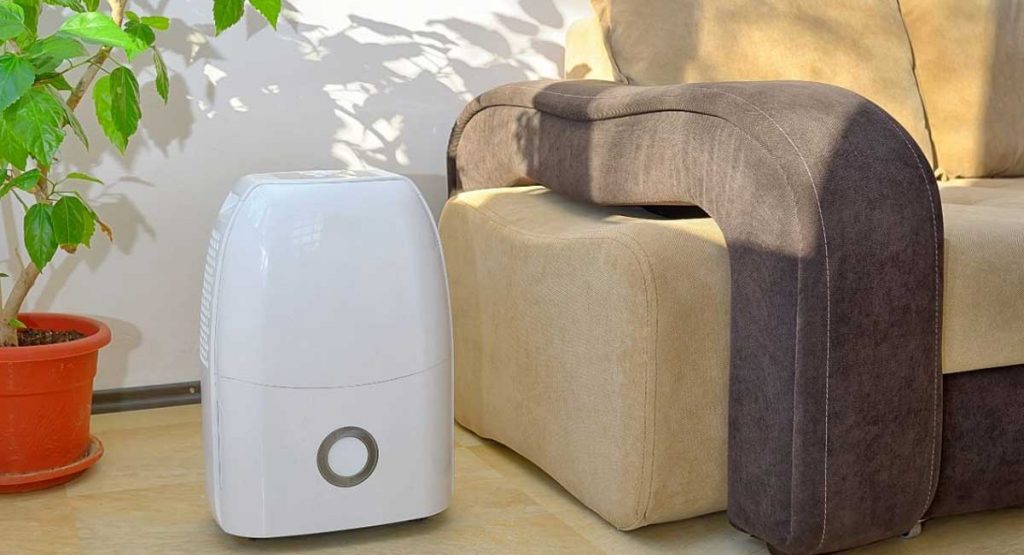 Why You Need a Dehumidifier: A Must-Read